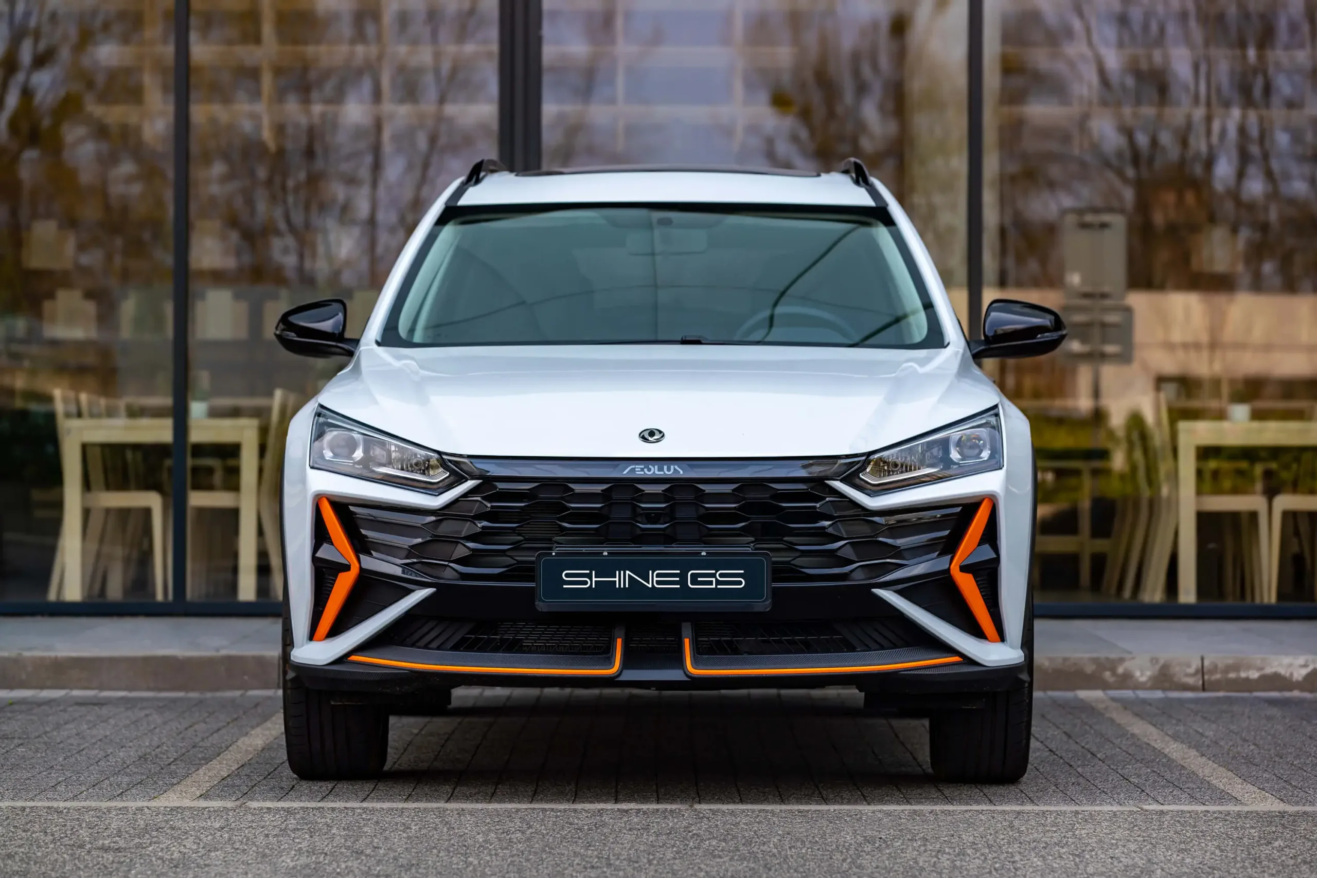 DONGFENG SHINE GS ~ ' ' ~ 19