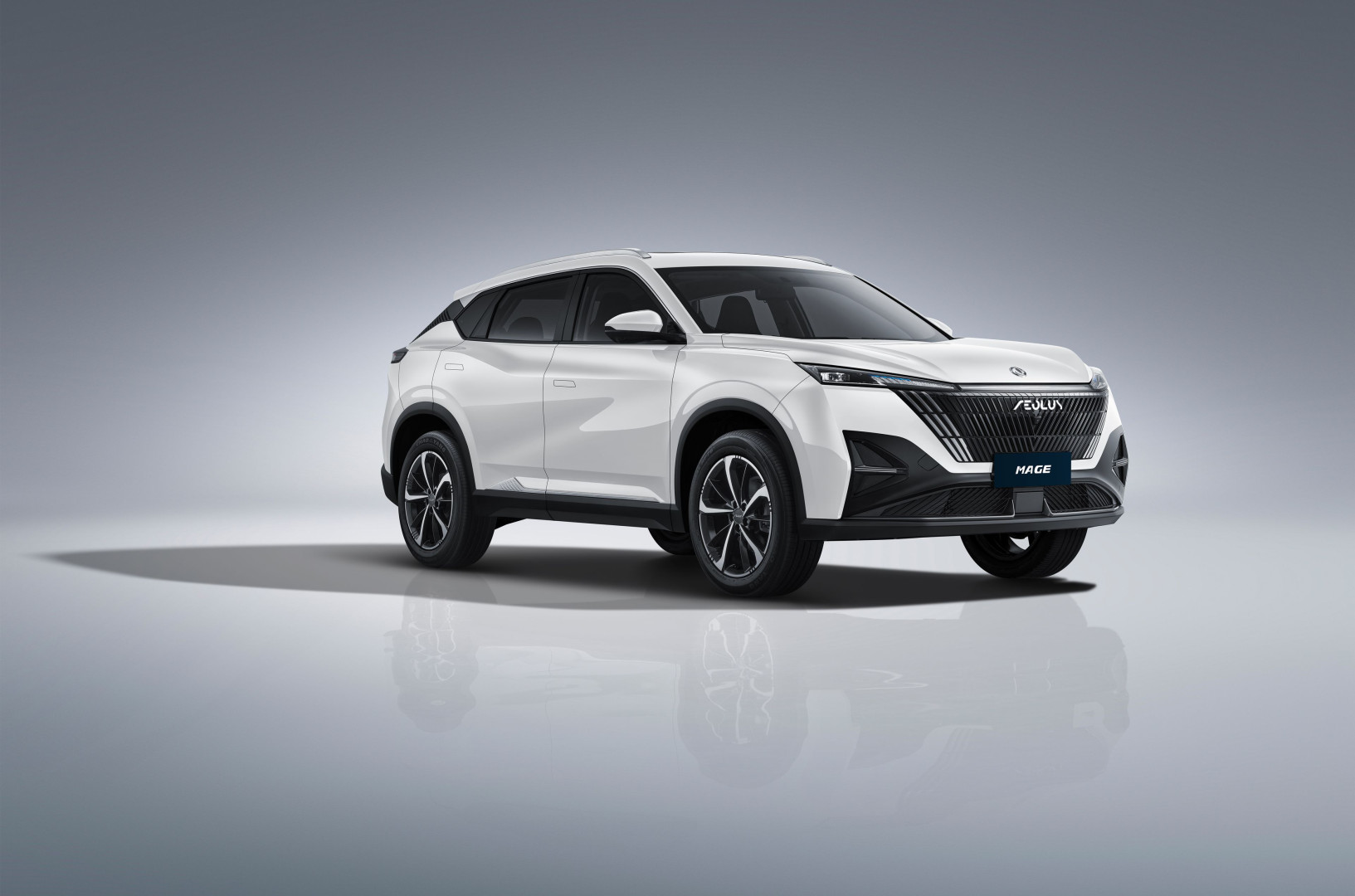 DONGFENG MAGE ~ ' ' ~ 5