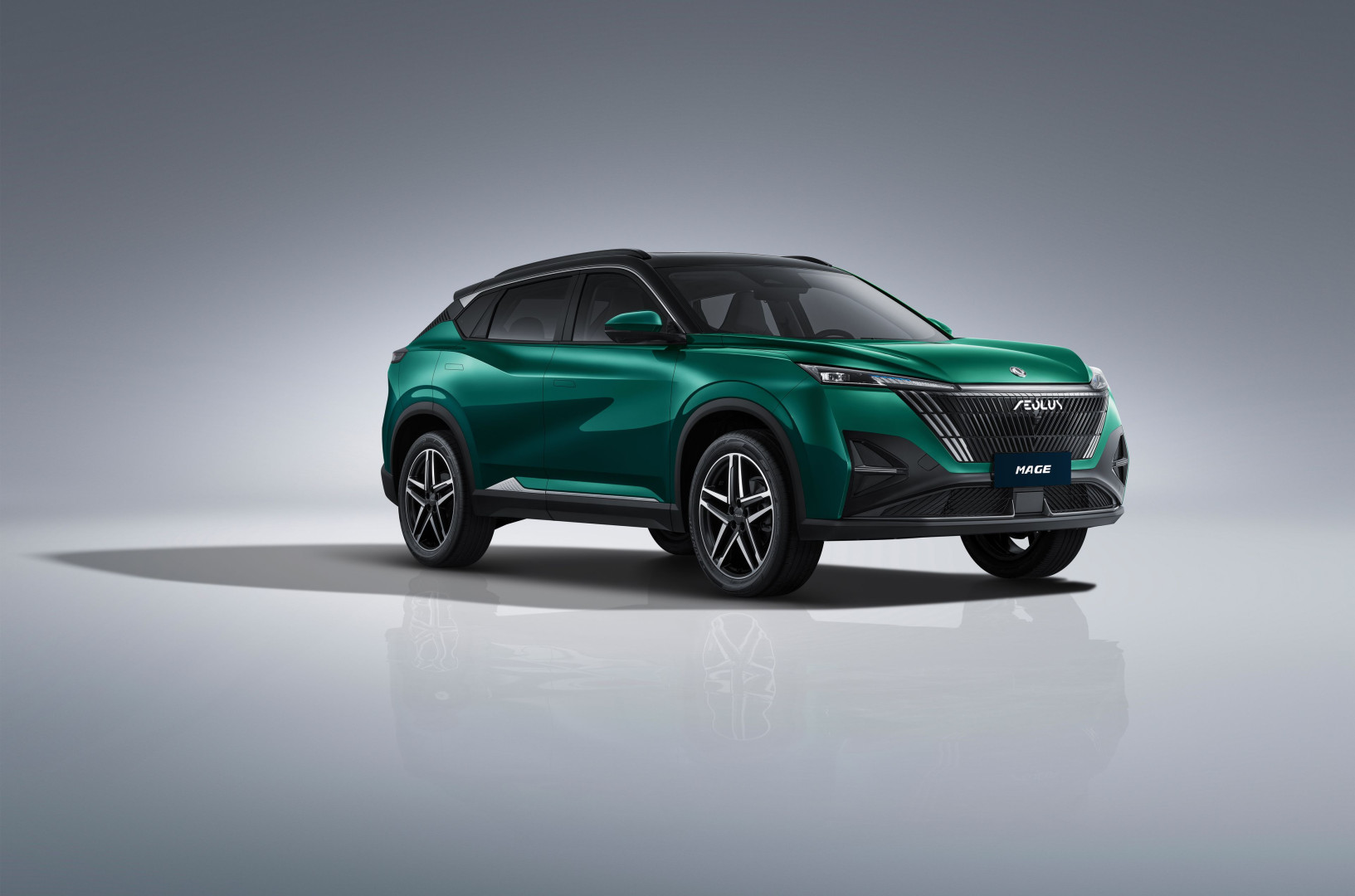 DONGFENG MAGE ~ ' ' ~ 8