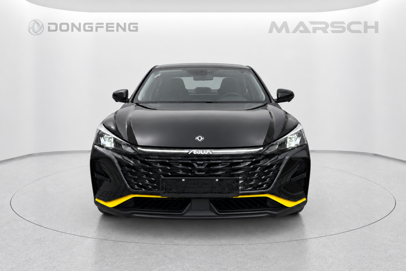 Dongfeng Shine ~ ' ' ~ 3