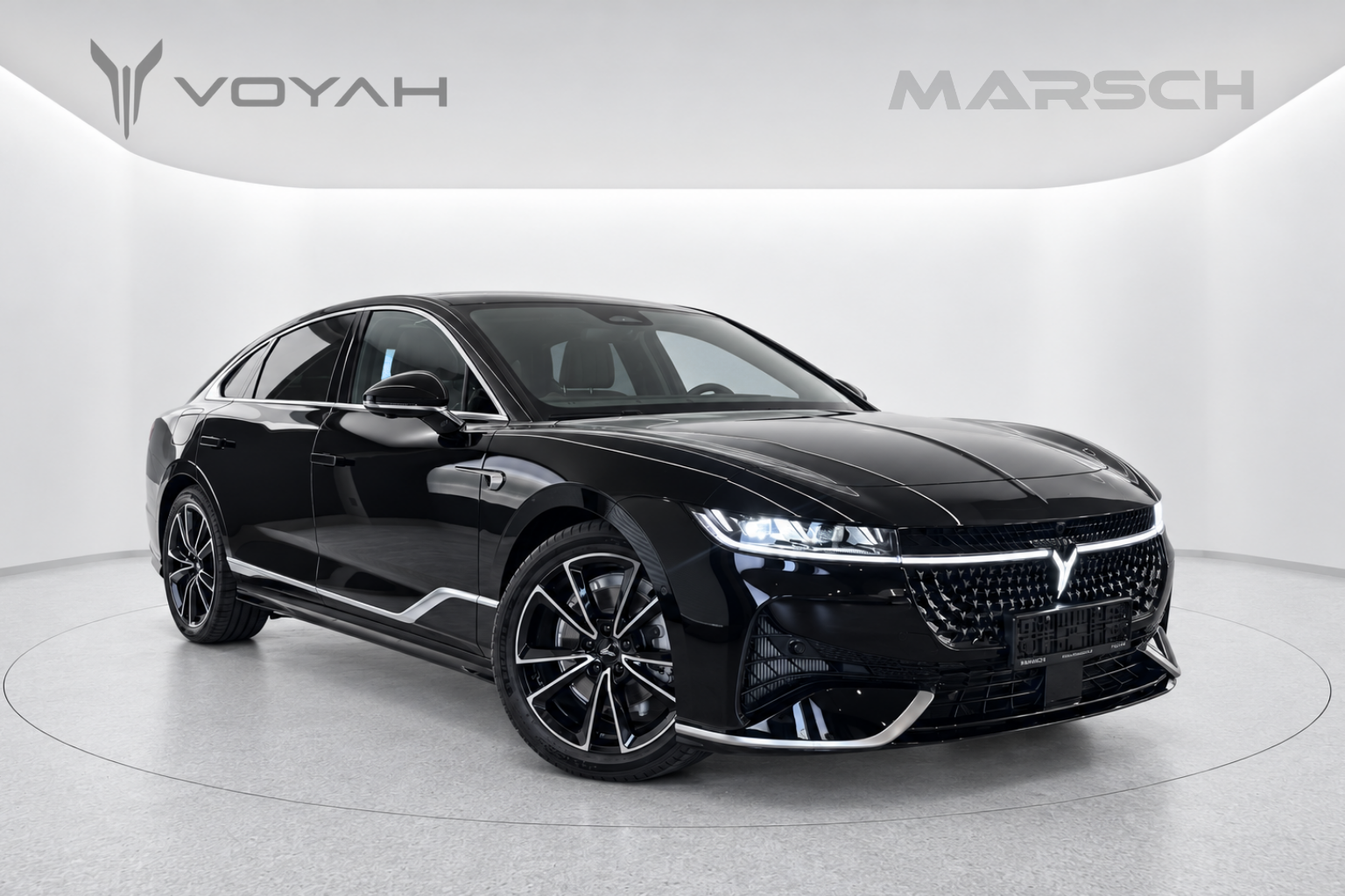 Voyah Passion